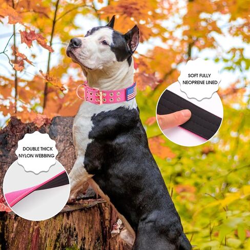 Heavy Duty Tactical Dog Collar with Neoprene Padded Metal Buckle, Reflective Nylon for Medium Large Dogs (Pink, Medium) in Saudi Arabia