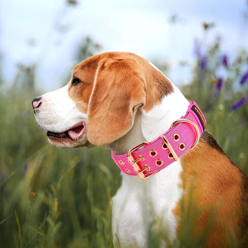 Heavy Duty Tactical Dog Collar with Neoprene Padded Metal Buckle, Reflective Nylon for Medium Large Dogs (Pink, Medium) in Saudi Arabia