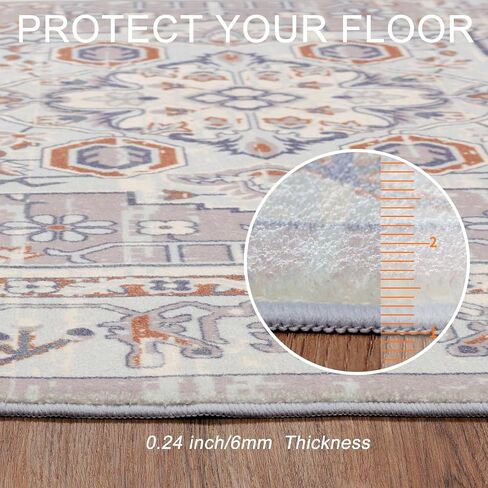 QBSM Washable Area Rug 3x5 Boho Entryway Rug Vintage Throw Rug Indoor Non-Slip Low-Pile Carpet Ultra Soft Rug for Living Room Bedroom Kitchen Laundry Room Office, Beige/Brown in Saudi Arabia