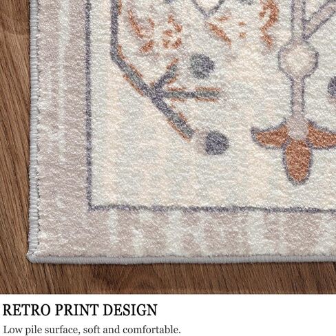 QBSM Washable Area Rug 3x5 Boho Entryway Rug Vintage Throw Rug Indoor Non-Slip Low-Pile Carpet Ultra Soft Rug for Living Room Bedroom Kitchen Laundry Room Office, Beige/Brown in Saudi Arabia