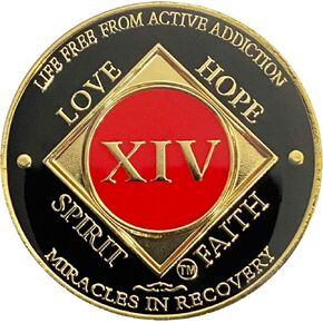 14 Year NA Gold Color Plated-Medallion, Recovery Chip, Narcotics Anonymous Coin (Red & Black)