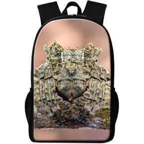 Spider Backpack Insulated Lunch Box Pencil Case Animal Design Kids Children School Bag Set Laptop Bookbag for Boys Girls