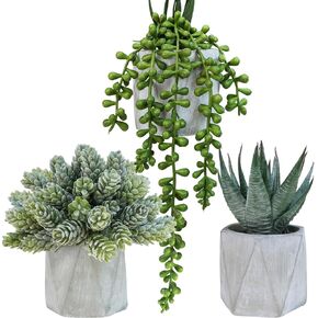 Winlyn Set of 3 Mini Artificial Succulent Plants Potted Small Fake Aloe Hops String of Pearls Plants in Gray Hexagon Ceramic Pots for Modern Home Office Desk Living Room Kitchen Table Shelf Décor