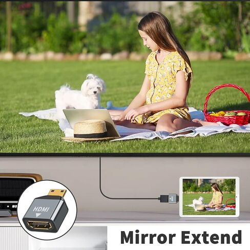 محول Poyiccot Mini HDMI إلى HDMI 4K، 2 حزمة HDMI أنثى إلى محول HDMI صغير ذكر، محول HDMI صغير يدعم 4K 60 هرتز HDR 3D 18 جيجابت في الثانية Dolby لـ DSLR، كاميرا الفيديو، Raspberry Pi، الكمبيوتر المحمول in Saudi Arabia