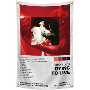 Generic Hip Hop Rapper Artists Kodak Music Album Cover2×3 FT Art Tapestries Suitable For Dormitory Cafe Study Bedroom (Red) in Saudi Arabia