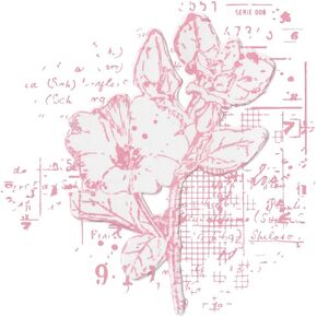 Sizzix Framelits Dies & Stamps - Floral Mix Cluster by 49 and Market, Clear/Silver