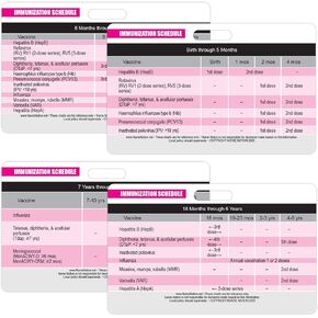 Immunization (Vaccination) Schedule Horizontal Badge Cards - Excellent Resource for Nurses, Nursing Clinicals, and RN Students - Great Nursing School Supplies and Accessories