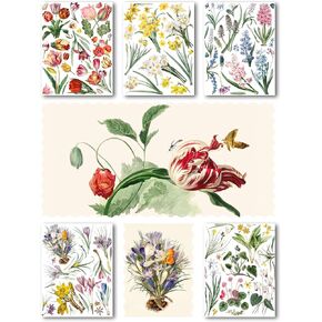Decoupage Paper Pack (15 Sheets 8"x11") Spring Flowers Wildflowers Antique Botannical Book Engraving Illustration HANATABA Vintage Styled Ephemera Pictures for Decoupage Craft and Scrapbooking