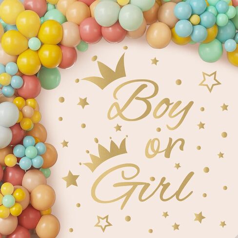 He Or She Sign Gender Reveal Baby Shower Party Decals Decorations Blue He Pink She Baby Boy or Girl Gender Reveal Welcome Sign Stickers for Arch Backdrop/Balloon Arch Decals in Saudi Arabia