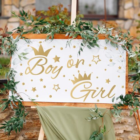 He Or She Sign Gender Reveal Baby Shower Party Decals Decorations Blue He Pink She Baby Boy or Girl Gender Reveal Welcome Sign Stickers for Arch Backdrop/Balloon Arch Decals in Saudi Arabia