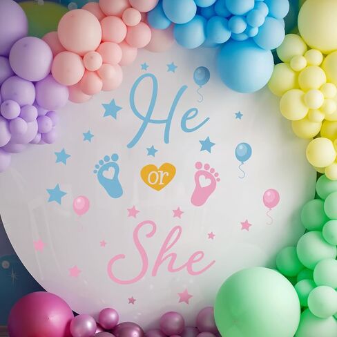 He Or She Sign Gender Reveal Baby Shower Party Decals Decorations Blue He Pink She Baby Boy or Girl Gender Reveal Welcome Sign Stickers for Arch Backdrop/Balloon Arch Decals in Saudi Arabia