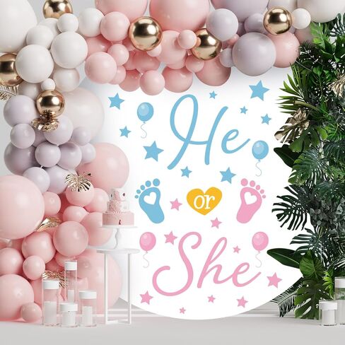 He Or She Sign Gender Reveal Baby Shower Party Decals Decorations Blue He Pink She Baby Boy or Girl Gender Reveal Welcome Sign Stickers for Arch Backdrop/Balloon Arch Decals in Saudi Arabia