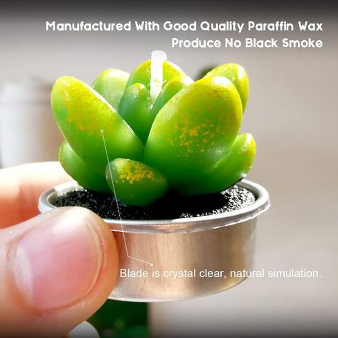 Swpeet 12Pcs Decorative Succulent Cactus Tealight Candles Kit, Cute Smokeless Succulent Plants Perfect for Candles Festival Wedding Props and House-Warming Party (N0.5-Candle) in Saudi Arabia