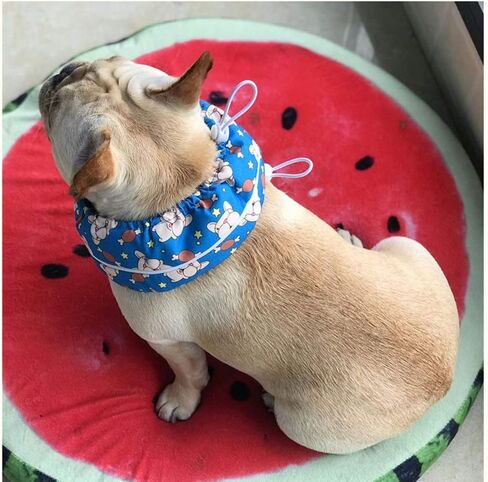 Dog Cooling Bandana, Stock Show Pet Dog Adjustable Ice Chill Out Collar Scarf with 4 Ice Packs for Summer (Blue Bulldog) in Saudi Arabia