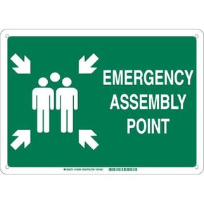 Brady 139598 Plastic "Emergency Assembly Point" Sign, Text and Symbol, 10" H x 14" W, White on Green