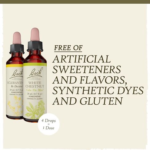 Bach Original Flower Remedies, Clarity of Mind Kit, For Focus and Mindfulness, Natural Homeopathic Flower Essence, Holistic Wellness, Vegan, 3 x 20mL Droppers in Saudi Arabia