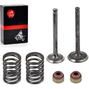 Intake Exhaust Valve Seal Spring Kit For Club Car Golf Cart 290cc DS Predent FE290 1992-Up 1016447 1016448