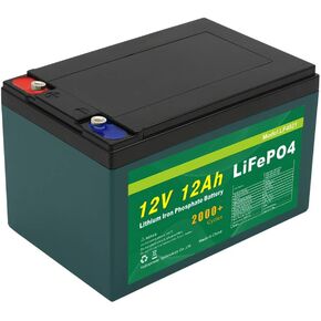 Talentcell 12V 12Ah LiFePO4 Battery Pack LF4021, 12.8V 153.6Wh Deep Cycle Rechargeable Lithium Iron Phosphate Batteries