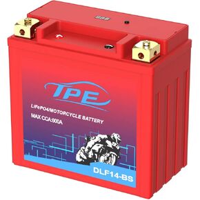 Lithium Motorcycle Battery YTX14-BS 12V Lithium Powersport Battery with Smart Battery Management System, LiFePO4 Engine Start Battery 9H 600CCA Starting Batteries for Motorcycles and ATVs-DLF14-BS