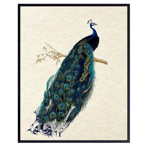 Peacock Wall Art Decor - Rustic Vintage Farmhouse Boho Decoration for Living Room, Bedroom, Bathroom, Home, Apartment - Gift for Women, Nature Fan - Famous Audubon Picture - 8x10 Poster Print