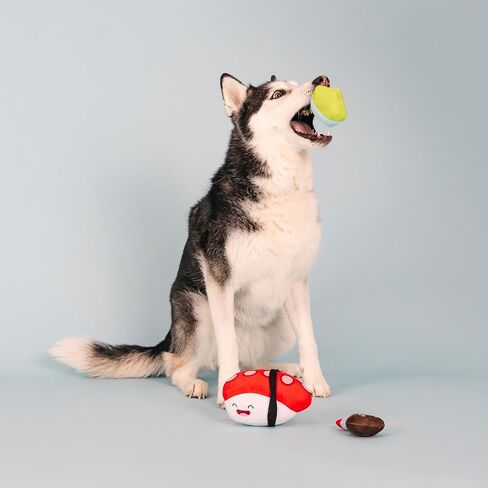 Fringe Studio Plush Dog Toy Set, Soy Mates, 3 Piece Set, Pet Shop Collection (312503) in Saudi Arabia