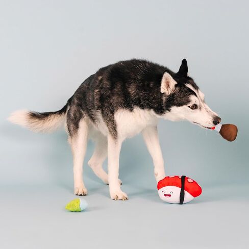Fringe Studio Plush Dog Toy Set, Soy Mates, 3 Piece Set, Pet Shop Collection (312503) in Saudi Arabia
