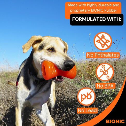 لعبة BIONIC Bone Dog Toy، متوسطة - لعبة مضغ تفاعلية للكلاب تصمد أمام أصعب المضغ، للكلاب التي يتراوح وزنها بين 15-35 رطلاً. (7-15 كجم) in Kuwait