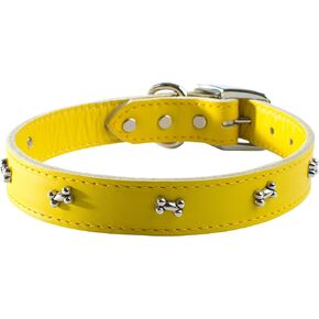 Signature Leather Dog Collar with Bone Ornaments, Orange, 10"