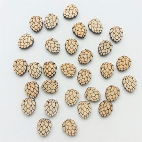 CHENRUI 60 Pcs Wood Earring Blanks Studs Beer Hops Earrings Wooden Jewelry Accessories
