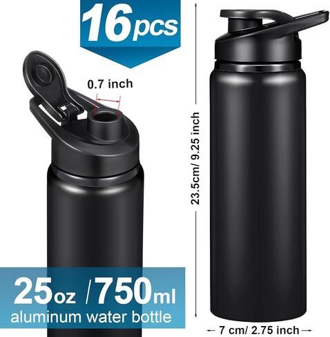 16 Pieces Aluminum Water Bottles Bulk 25 oz Sports Water Bottles with Snap Lids Lightweight Bike Water Bottle Reusable Leak Proof Travel Bottles for Outdoor Gym Sports Camping Hiking Fishing in Kuwait