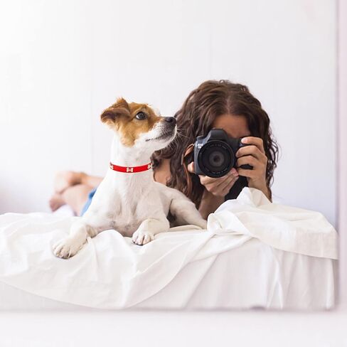 4 قطع من أطواق الجراء البناتية من الكريستال وحجر الراين على شكل قلب مع برشام على شكل عظمة وزهور ملونة لامعة وطوق قابل للتعديل للفتيات الصغيرة والكلاب والقطط وإكسسوارات طوق (صغير) in Kuwait