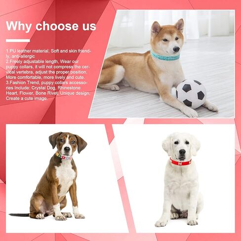 4 قطع من أطواق الجراء البناتية من الكريستال وحجر الراين على شكل قلب مع برشام على شكل عظمة وزهور ملونة لامعة وطوق قابل للتعديل للفتيات الصغيرة والكلاب والقطط وإكسسوارات طوق (صغير) in Kuwait