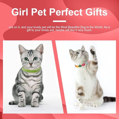 4 قطع من أطواق الجراء البناتية من الكريستال وحجر الراين على شكل قلب مع برشام على شكل عظمة وزهور ملونة لامعة وطوق قابل للتعديل للفتيات الصغيرة والكلاب والقطط وإكسسوارات طوق (صغير) in Kuwait