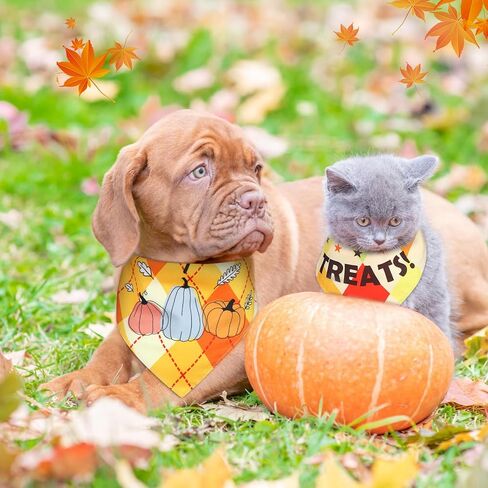 60 Pcs Fall Plaid Dog Bandanas Bulk Thanksgiving Dog Triangle Scarf Holiday Dog Bibs Puppy Bandanas Pet Costume Adjustable Outfit Washable Kerchief for Small to Medium Pet in Saudi Arabia