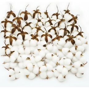 50 Pcs White Cotton Bolls Balls Decor, Dried Cotton Balls for Wreath Decorative, Home, Wedding Decor Balls (50pcs)