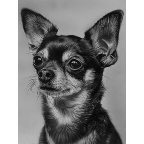 5D Diamond Painting Kits Black Dog Chihuahua Full Drill Round Beads Diamond Art Gems Stone Cross Stitch DIY Diamond Painting by Number Kits Wall Decoration 12x16inch