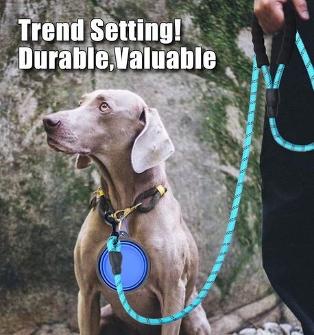 1 مقود للكلاب بطول 2أقدام/5أقدام/6أقدام حبل سميك من النايلون المتين للكلاب - مقبض مريح مبطن وحبل عاكس للضوء مقود للكلاب متوسطة وكبيرة الحجم مع وعاء للحيوانات الأليفة قابل للطي وأكياس قمامة (أزرق، 1/2 بوصة × 5 قدم) in Kuwait
