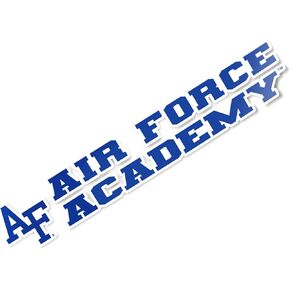 Desert Cactus United States Air Force Academy USAFA Fightin Falcons Name Logo Vinyl Decal Laptop Water Bottle Car Scrapbook (8 Inch Sticker)