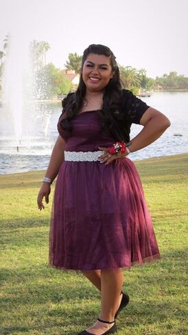 Pardecor Wedding Belt Rhinestone Belt Bridal Wedding Dress Sash Trim Rhinestone Applique Dress Belt Crystal Sash Accessories in Kuwait