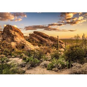 SJOLOON Desert Backdrop National Park Backdrop Natural Scenery Cactus Backdrop for Camping Theme Party Decoration 12684 (7x5FT)