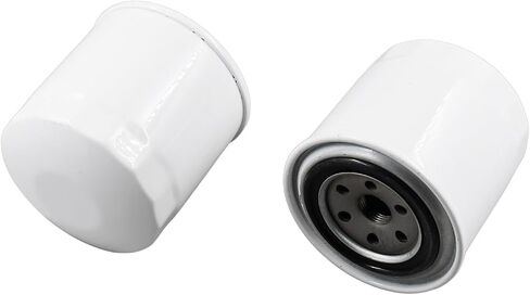 Disenparts Oil Filter 6675517 P550318 LF3400 For Bobcat Excavator E32I E35 E35I E42 E45 E50 E55 Loader 643 645 743 751 753 763 773 7753 825 943 953 963 970 974 1600 (Pack of 2) in Saudi Arabia