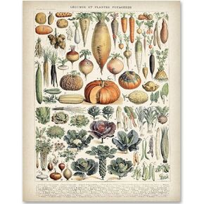 Antique Heirloom Vegetables - 11x14 Unframed Mushroom Wall Art Vintage Meishe Plant Art Print Poster - Great Kitchen Decor and Gift Under $15