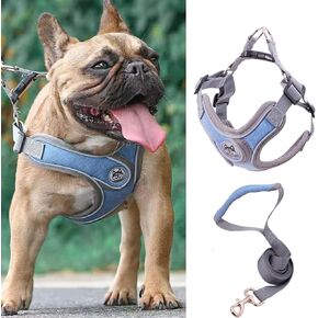 PT-09 Pet Dog Puppy No-Pull Harness Walking Training Harness with Leash Reflective Vest (Blue, Large)