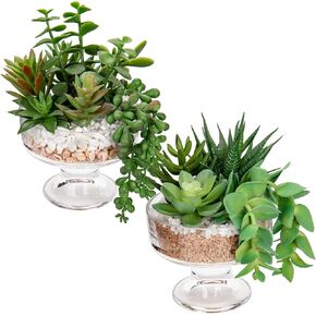 Hollyone 2 Pack Artificial Succulent in Glass Pots Fake Succulents Plants Faux Succulents Decor for Tabletop Desk Office Bookshelf Home Room Decorations