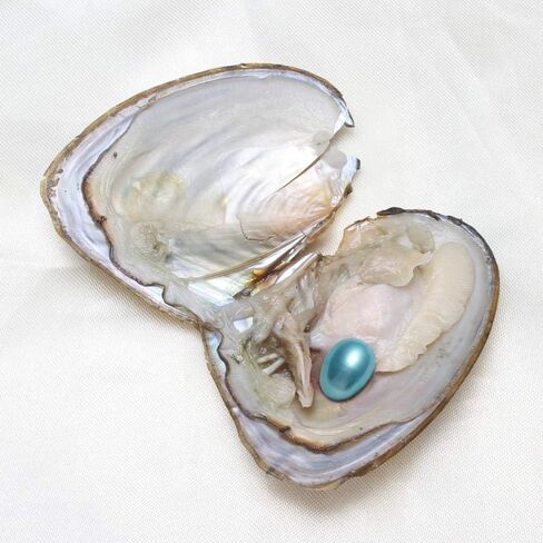 Freshwater Oysters with Pearl Inside Pure and Lucky Mixed Five Colors Rice Shape Pearls 50PC (7-8mm) in Saudi Arabia