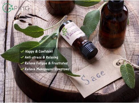 CoconutVanilla, Mango, Pineapple Essential Oil Set, 3x10ML Organic 100% Pure Plant Oil for Diffuser, Aroma, Spa, Massage, Yoga, Perfume, in Saudi Arabia