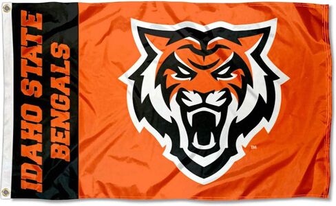 Idaho State Bengals Flag in Saudi Arabia