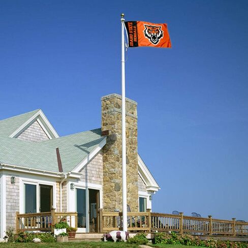 Idaho State Bengals Flag in Saudi Arabia