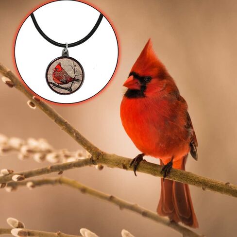 قلادة لولا بيلا جيفتس آند سبيريت لالا حمراء ذات ريشية سول مع خلفية الحب لا يموت ولا يموت ولا يموت ولا قصيدة، صندوق هدايا هدية التعاطف الحزن in Kuwait