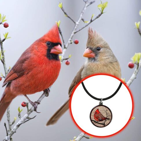 قلادة لولا بيلا جيفتس آند سبيريت لالا حمراء ذات ريشية سول مع خلفية الحب لا يموت ولا يموت ولا يموت ولا قصيدة، صندوق هدايا هدية التعاطف الحزن in Kuwait